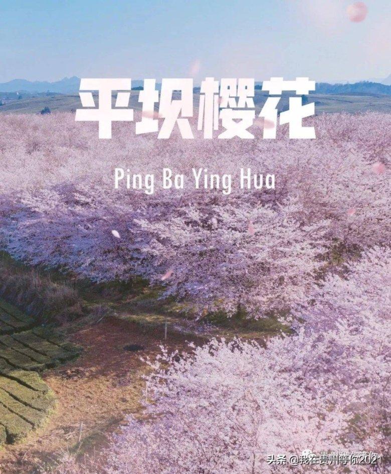 女明星穿美人鱼礼服，杨颖排最后，热巴最俏皮，你同意吗？